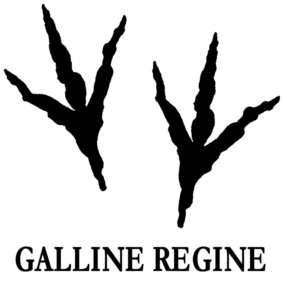 Gierre centro stile - Galline Regine